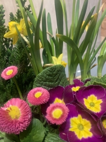 Planted Spring Baskets