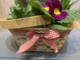 Planted Spring Baskets