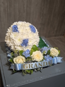 Football Tribute