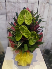 Anthurium Floral Box