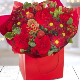 Christmas Gift Bag