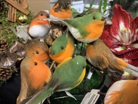 Christmas Robins