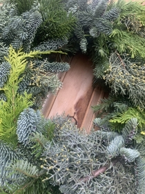 Fresh spruce wreath