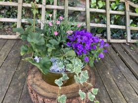 Planted Container